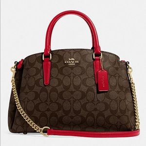 Sage Carryall in Signature C’s